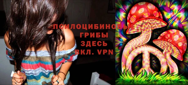 ГАЛЛЮЦИНОГЕННЫЕ ГРИБЫ Балабаново