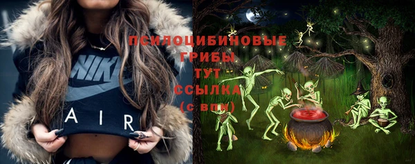 ГАЛЛЮЦИНОГЕННЫЕ ГРИБЫ Балабаново