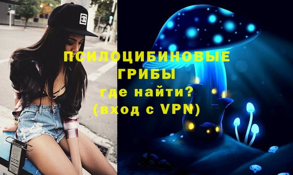 ГАЛЛЮЦИНОГЕННЫЕ ГРИБЫ Балабаново
