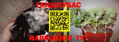 сатива Волгодонск