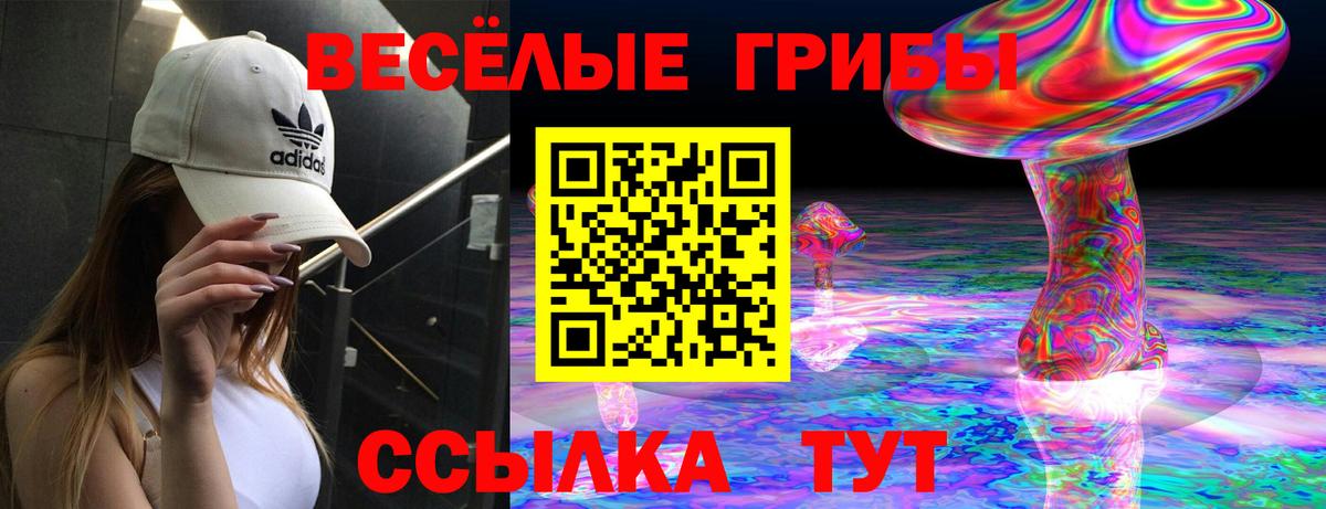 Мефедрон   АМФ кристаллы  LSD-25  Марихуана  MDMA  Вход с VPN  Бор  КОКАИН  Гашиш  Купить наркотики  ГАШ 